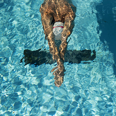 Vitalmut natation